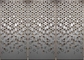 Salt Spray Resistance Stamped Metal Panels, Exquisite Decorative Sheet Metal Panels leverancier