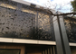 Mooie decoratieve metalen panelen Exterieur, decoratieve stalen wandpanelen ISO9001 goedgekeurd leverancier